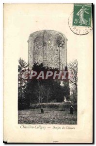 Old Postcard Chatillon Coligny Chateau du Donjon