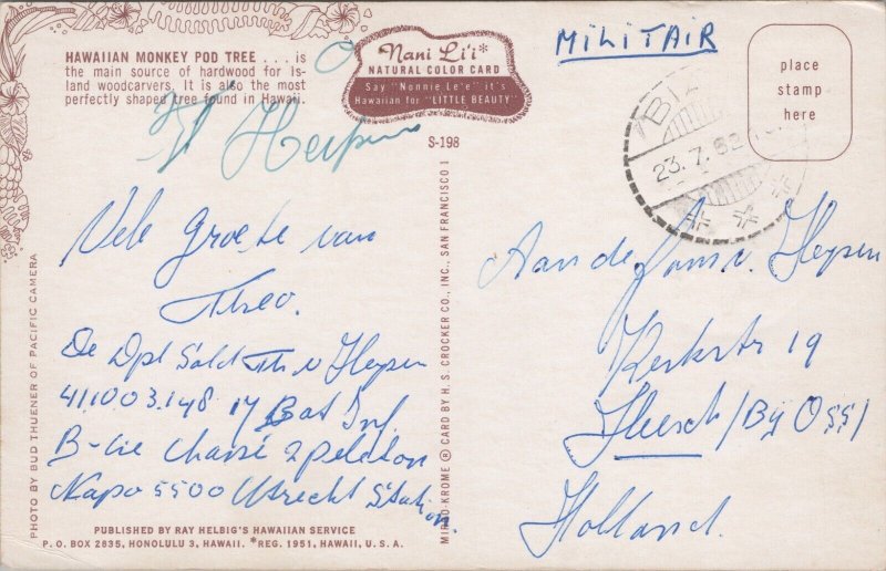 Hawaii Monkey Pod Tree Chrome Postcard 09.57