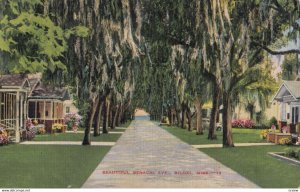 BILOXI , Mississippi , 1942 ; Benachi Avenue