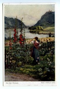 499246 Hans GOTZINGER Donau Danube River Malva Flowers Village BKWI #1164