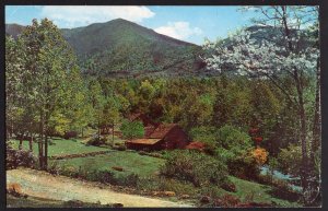 Tennessee  Pioneer Mountain Home Great Smoky Mountains National Park Chrome