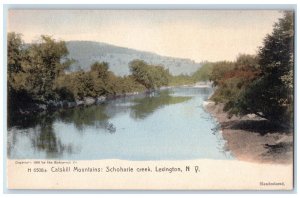 c1905 Catskill Mountains Schoharie Creek Lexington New York NY Vintage Postcard