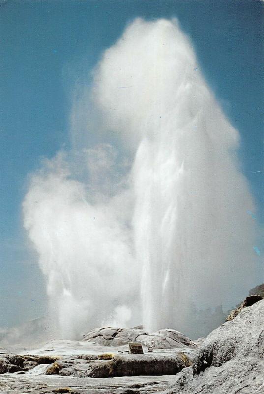 BR100673 pohutu geyser rotorua new zealand