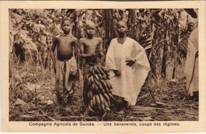 PC UNE BANANERAIE COUPE DES REGIMES FRENCH GUINEA ETHNIC TYPE (a28710) 