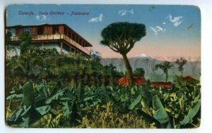 3089270 SPAIN Tenerife Valle Orotava Platanera Vintage PC