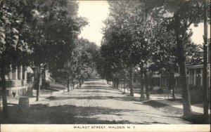 Walden New York NY Walnut Street c1910 Vintage Postcard