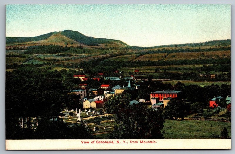Schoharie New York NY Villages & Grounds General View From Mountain Postcard