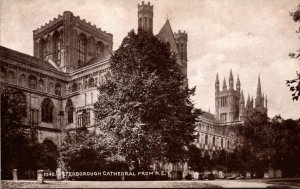 United Kingdom Peterborough The Cathedral From Northeast