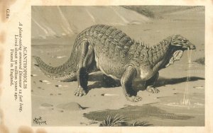 Animals Postcard Acanthopholis plant-eating armoured Dinosaur