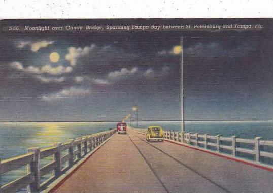 Florida Tampa Moonlight Over Candy Bridge Spanning Tampa Bay Between Saint Pe...