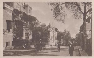 Magraby Street Greek Greece Antique Postcard