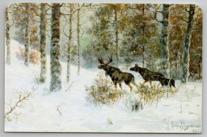 ELK MOOSE in Russian Winter Snow Forest Wild Animal by Klever New Postcard