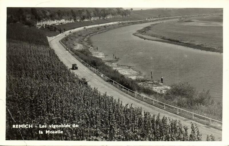 luxemburg luxembourg, REMICH, Les Vignobles de la Moselle (1950s) RPPC