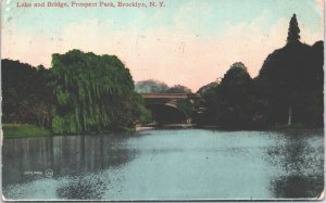 USA Lake And Bridge Prospect Park Brooklyn New York Vintage Postcard 05.15