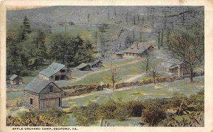 Apple Orchard Camp Bedford Virginia 1923 postcard