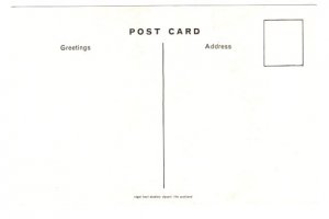 Tom Morris, Golfer, Open Champion, 1861. 62, 64, 67