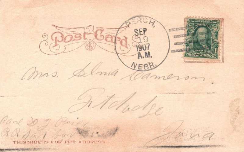 Vintage Postcard 1907 No Time To Monkey Two Monkies Reading Newspaper Comic Card