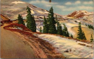 Vtg 1930s Timberline in the Rockies Colorado CO Linen Postcard