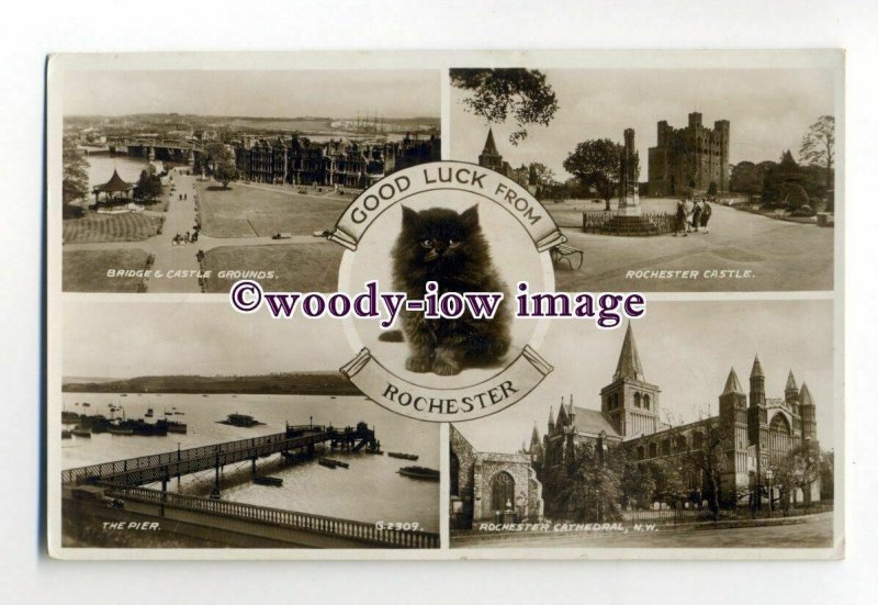 tq2043 - Kent - Multiview x 4 &  Kitten, Various Views of  Rochester - Postcard