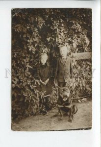 3177059 Brother Sister KIDS & BULLDOG Dog Vintage REAL PHOTO