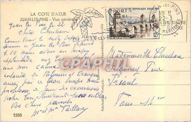 Modern Postcard The French Riviera Juan les Pins General view