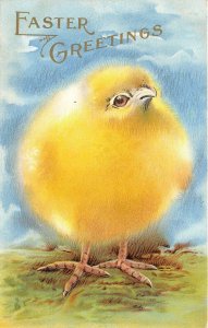 EASTER GREETINGS c1910 Embossed Postcard Giant Yellow Chick