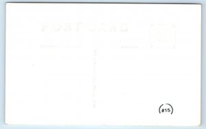 RPPC DEATH VALLEY, CA California ~ MESQUITE BUSHES ~ c1930s Frasher Postcard