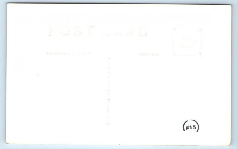 RPPC DEATH VALLEY, CA California ~ MESQUITE BUSHES ~ c1930s Frasher Postcard