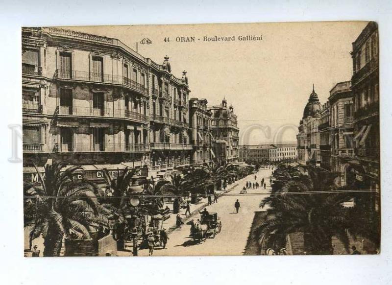 191054 Algeria ORAN Gallieni Boulevard Vintage postcard