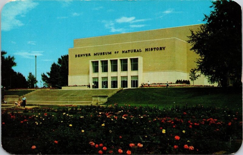 Denver Museum Natural History Colorado CO Postcard VTG UNP Dexter Vintage Unused 