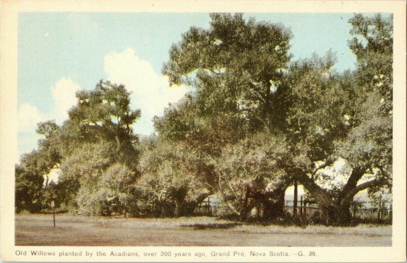 Old Willows Acadians Grand Pre Nova Scotia Antique Divided Back Postcard UNP Vtg 