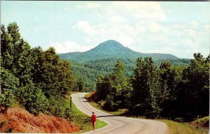 Postcard HIGHWAY SCENE Jasper Arkansas AR AL9476