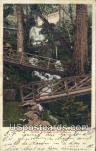 Bridges, Zig Zag Trail - Shasta Springs, CA