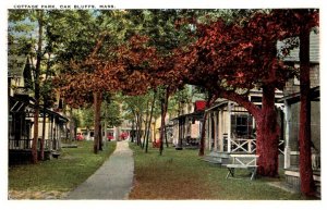 Massachusetts  Oak Bluffs  Cottage park