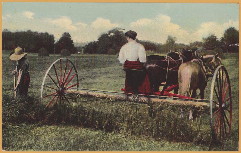 Lady driving horse drawn hay rake - 