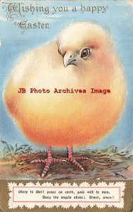 Easter, Auburn PC Co, Closeup of a Chick, Words to a Prayer