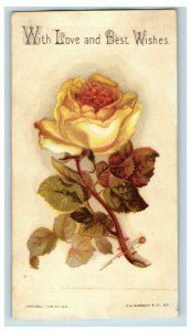 1880s Gold Eyed Needles London Needle Co. Yellow Rose Trade Card P142 