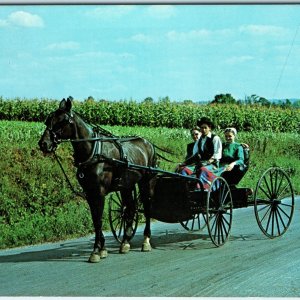 c1960s Pub. Gettysburg, PA Young Amish Man Women Carriage Cute Girls Chrome A332