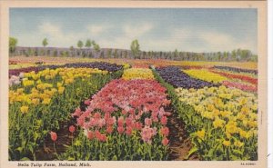 Michigan Holland Scene At Nelis Tulip Farm Curteich