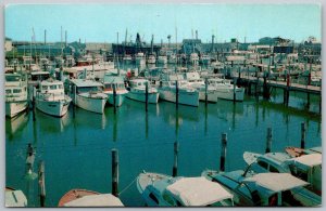 Cape May New Jersey 1950s Postcard Schellenger's Landing Marina Boats