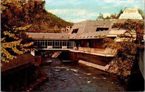 Tennessee Gatlinburg Ogle's Buffet Restaurant On The Parkway