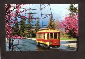 CA Kelley Park Railroad Trolley Car # 168 San Jose California Postcard