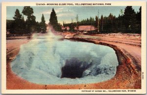 Morning Glory Pool Yellowstone National Park Wyoming WY Attraction Postcard