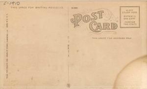 C-1910 Cottage Colony Sanitarium Hammond Louisiana Noah Arks postcard 193