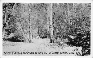 CAMP SCENE SYCAMORE GROVE AUTO CAMP SANTA CRUZ CALIFORNIA POSTCARD (c.1930s)