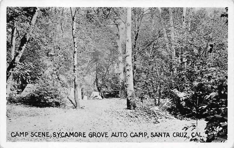 CAMP SCENE SYCAMORE GROVE AUTO CAMP SANTA CRUZ CALIFORNIA POSTCARD (c.1930s)