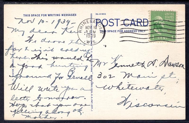 Deer,Winter Scene,Rhinelander,WI