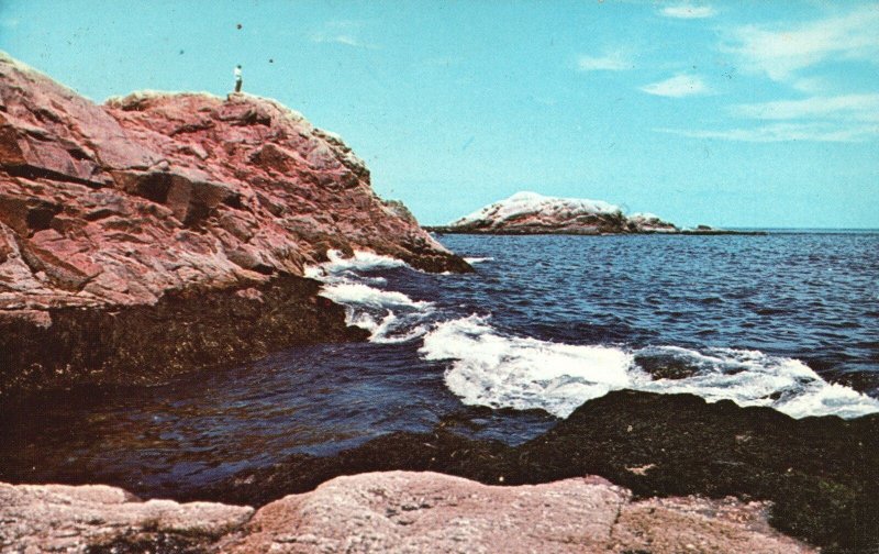Vintage Postcard 1980 Brace Rock and Coastline Cliff Gloucester