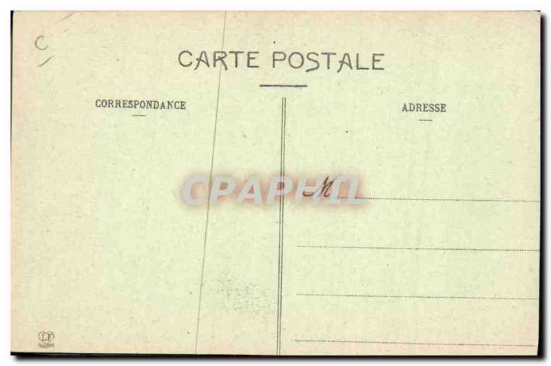 Old Postcard Dogs Pyrenees Dog Two rival