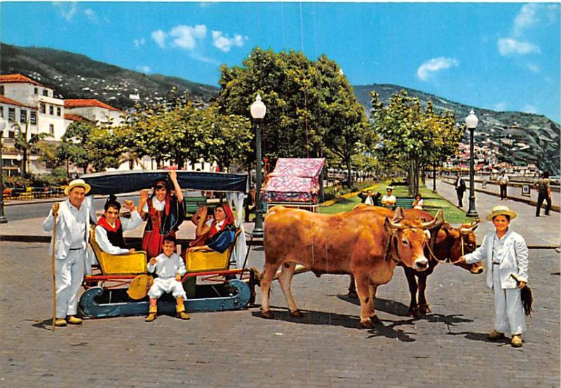 Madeira - Bullock Carro